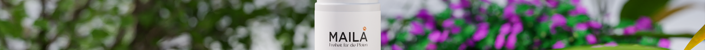 Reinigungsschaum für die Pfoten