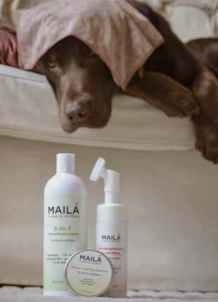 4-in-1 MAILA Pflegeset für Hund und Katze